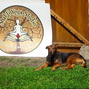 IMG_20170109_125005_581