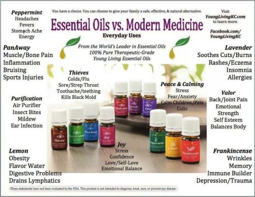 everydayoilsinfograph